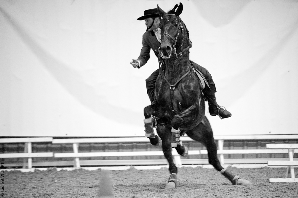 Avignon 20100116-2903