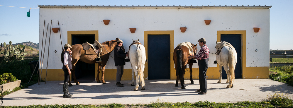 Casquinha 20140330-0003