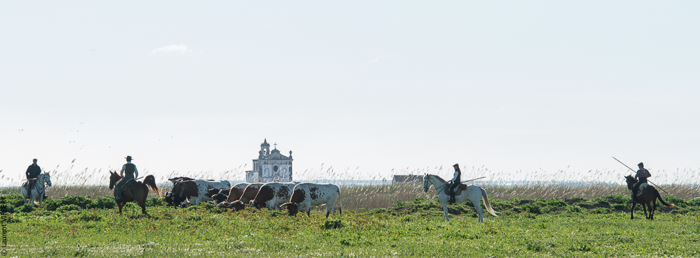 Casquinha 20150330-0340