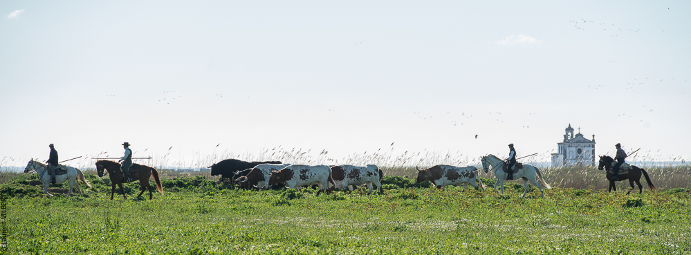 Casquinha 20150330-0348