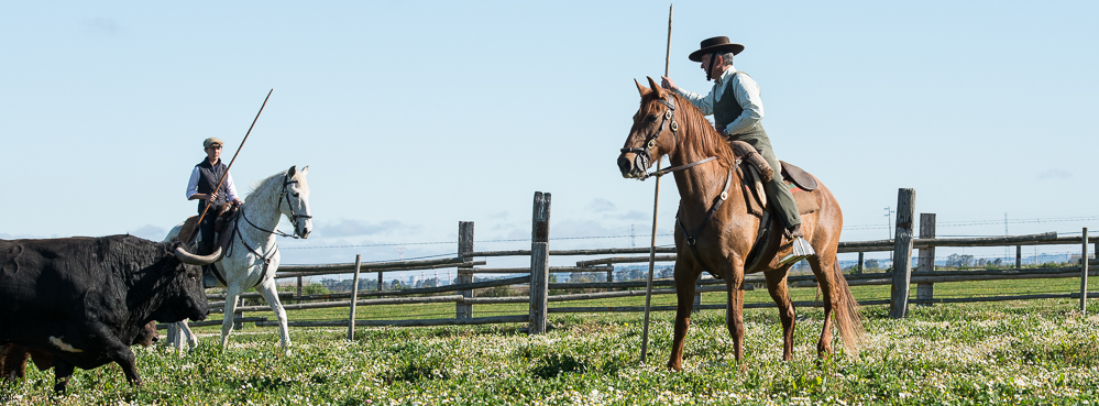 Casquinha 20150330-0511
