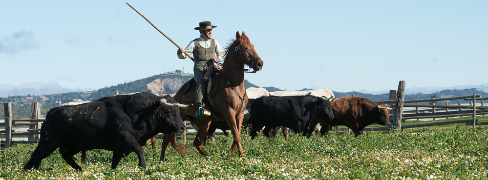 Casquinha 20150330-0601
