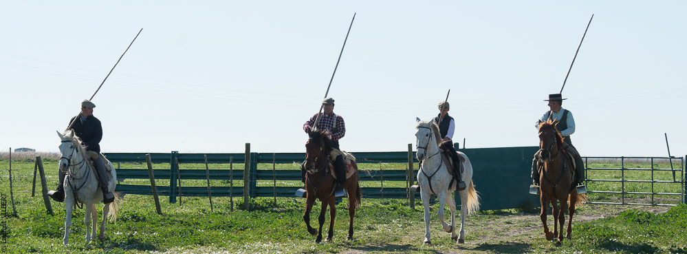 Casquinha 20150330-1060