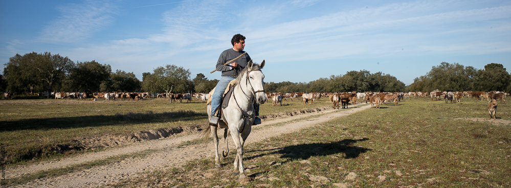 Companhia das Lezirias 20140331-019