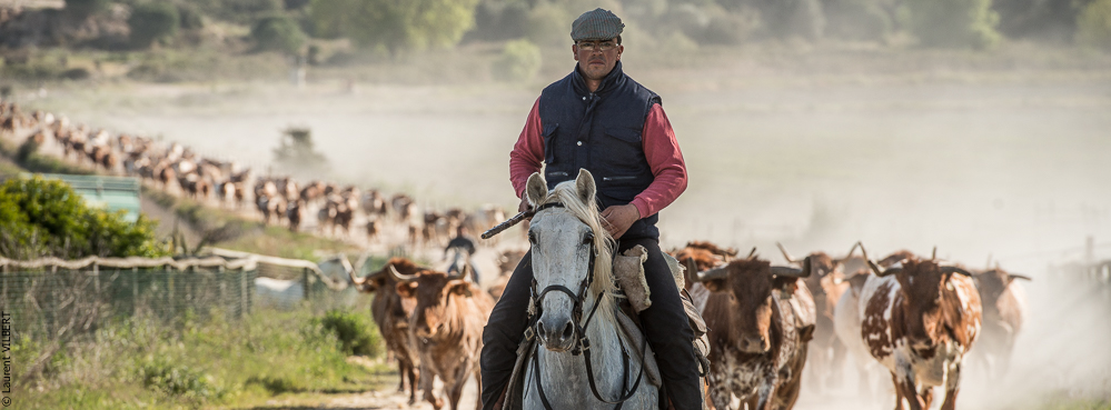 Companhia das Lezirias 20150331-633