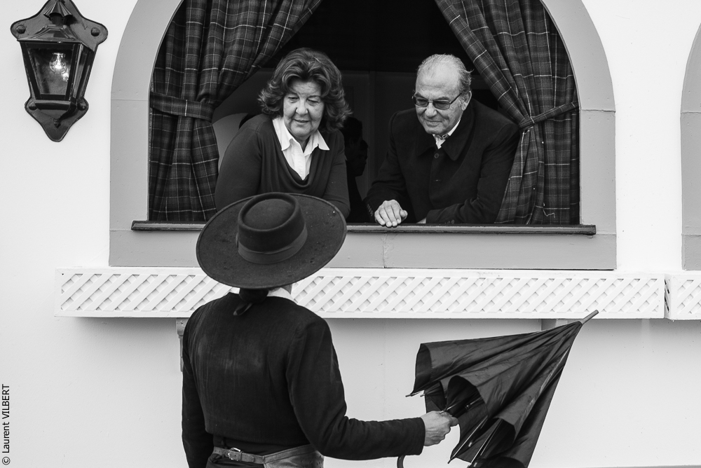 Feria Golega 20131114-0305