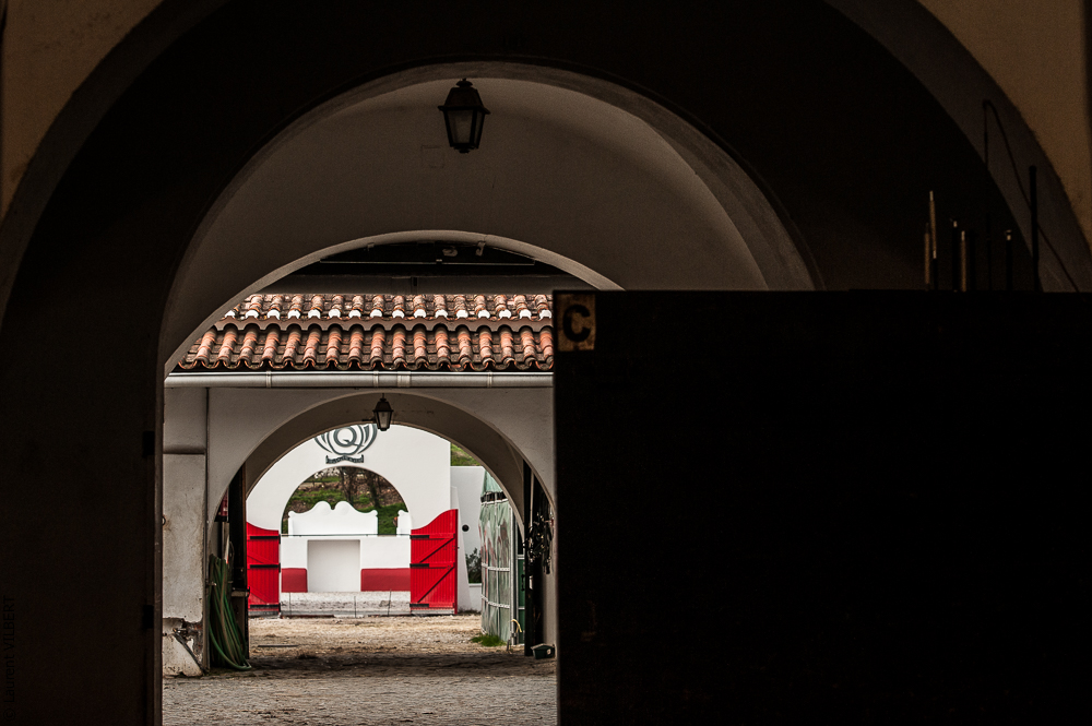 Francisco 20121114-521