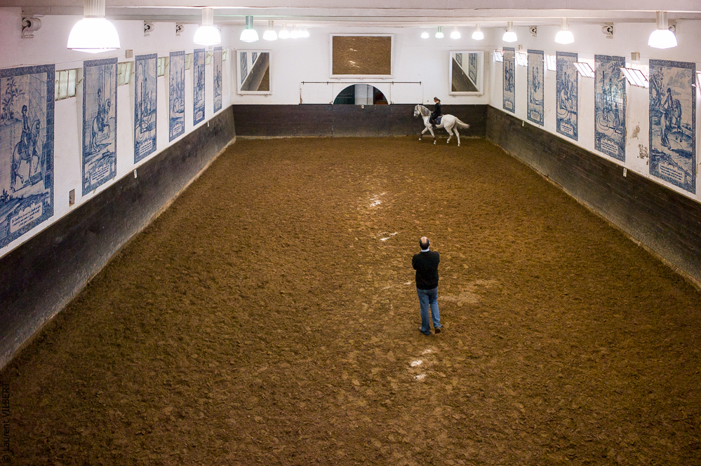 Francisco 20121115-716