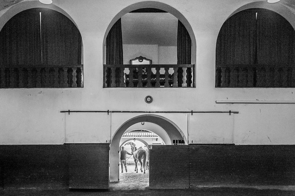 Francisco 20121115-762