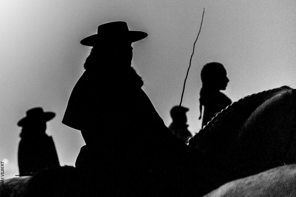 Golega 20121109-1644