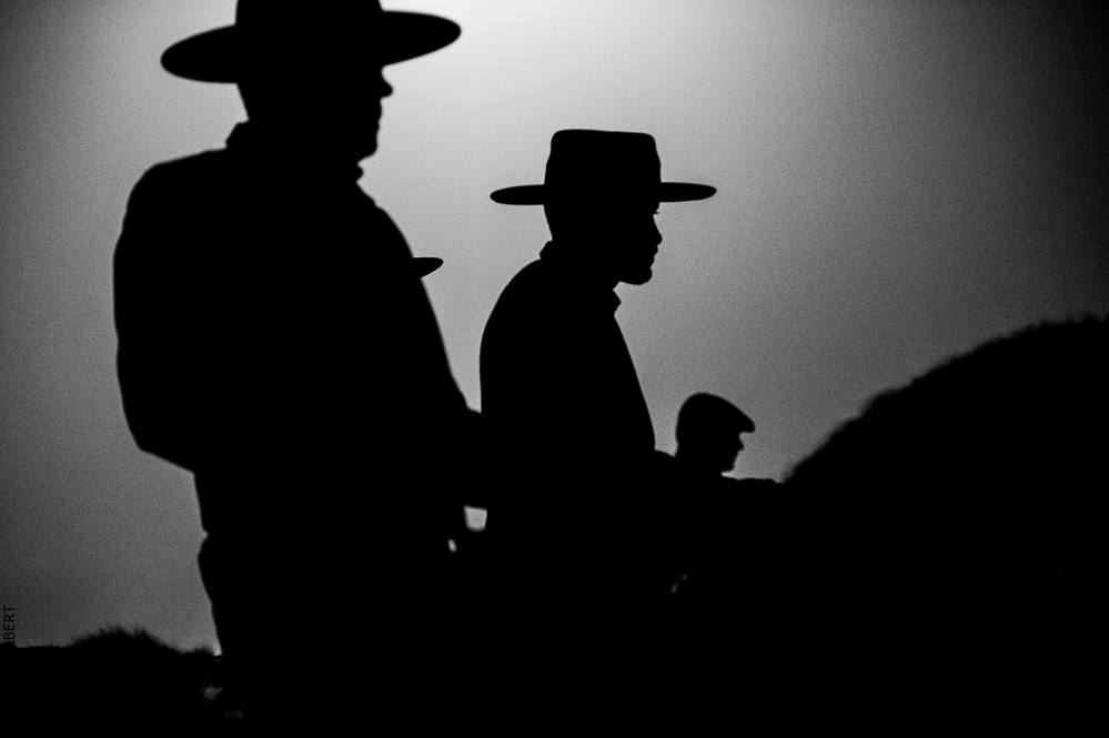 Golega 20121110-1930