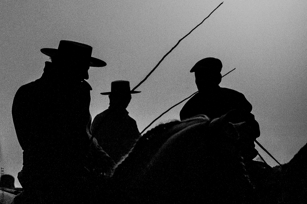 Golega 20121110-1945