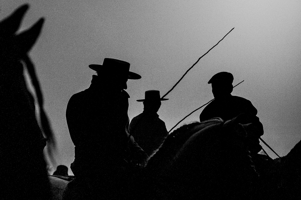 Golega 20121110-1945