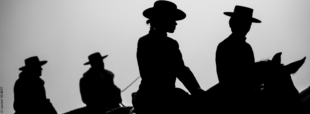 Golega 20121110-2052