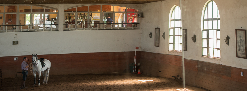 Humberto 20140515-027