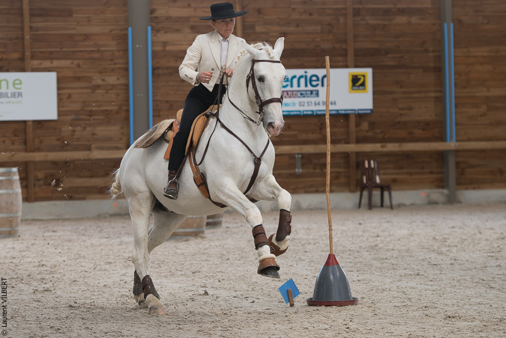 Les Herbiers 20160214-4081