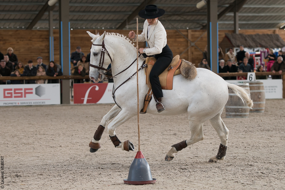 Les Herbiers 20160214-4111