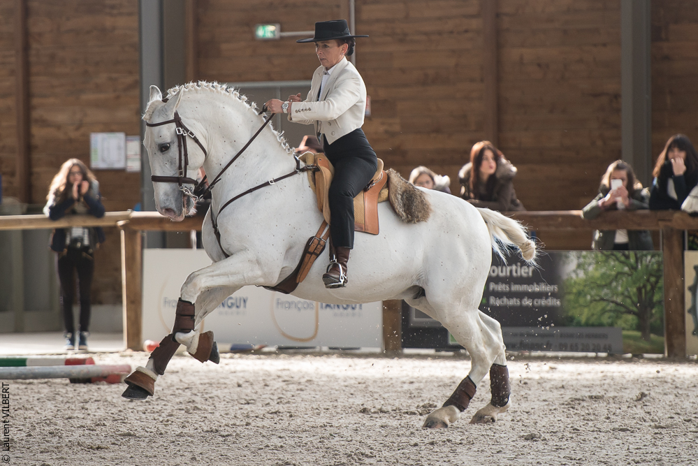 Les Herbiers 20160214-4141