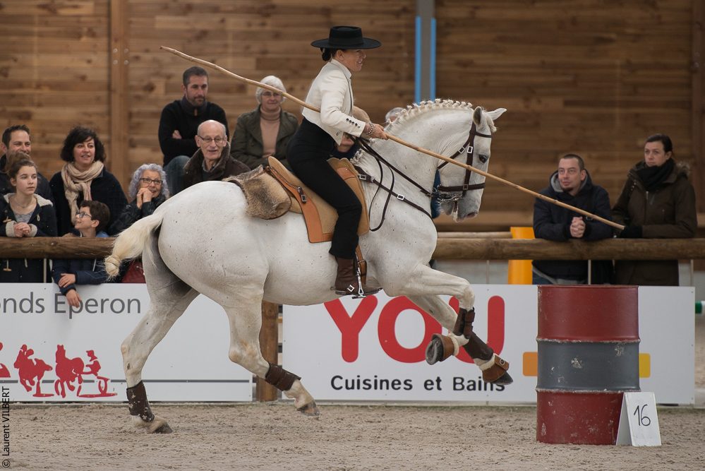 Les Herbiers 20160214-4166