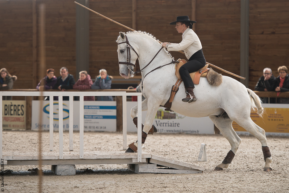 Les Herbiers 20160214-4172