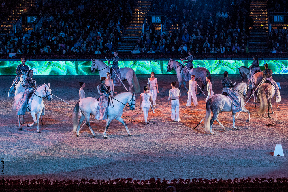 Nuit du Cheval 20121207-1793