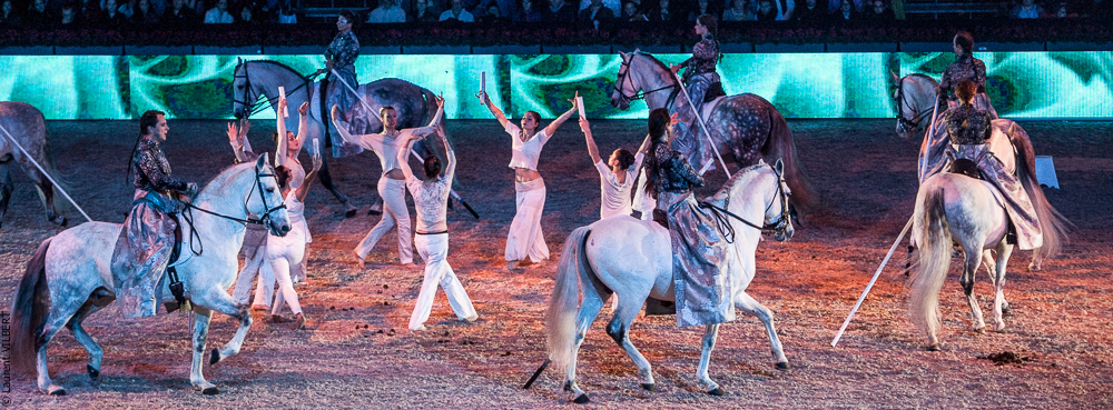 Nuit du Cheval 20121207-1795