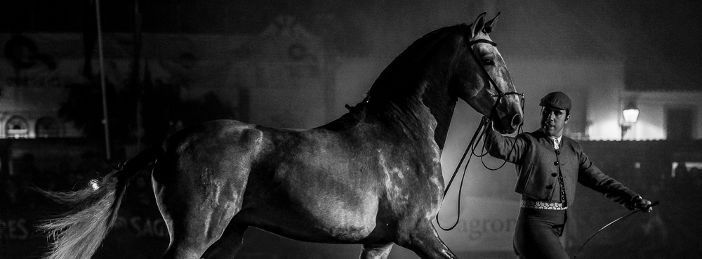 Oxidado 20141115-0162