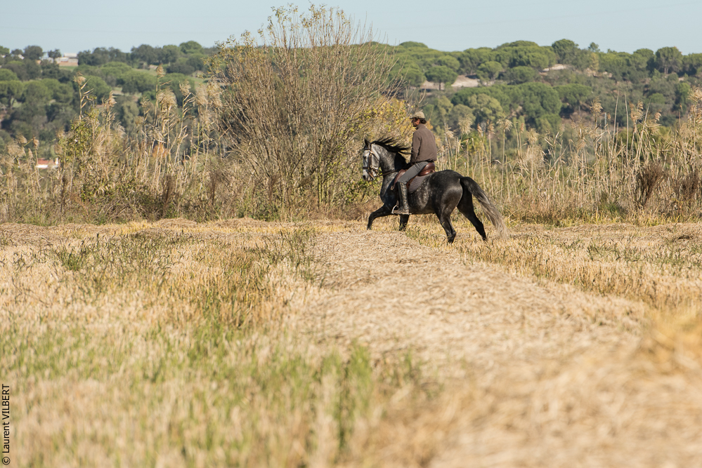 Pedrogao 20171113-0202