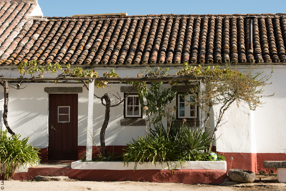 Pedrogao 20171113-0262