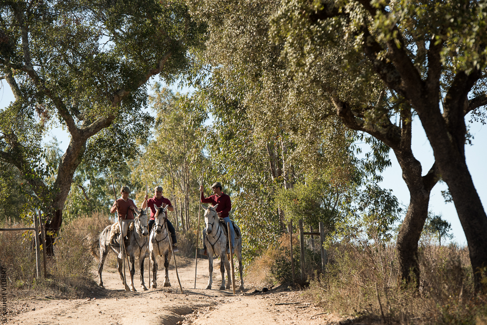 Pedrogao 20171113-0312