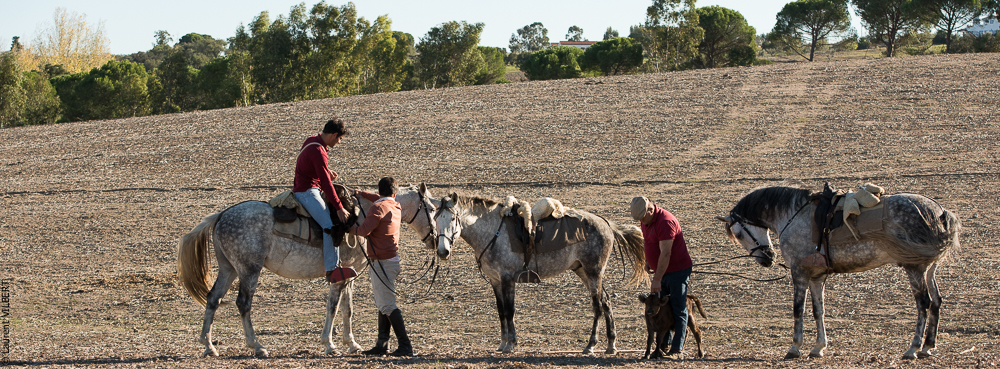 Pedrogao 20171113-0558