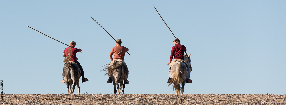 Pedrogao 20171113-0627