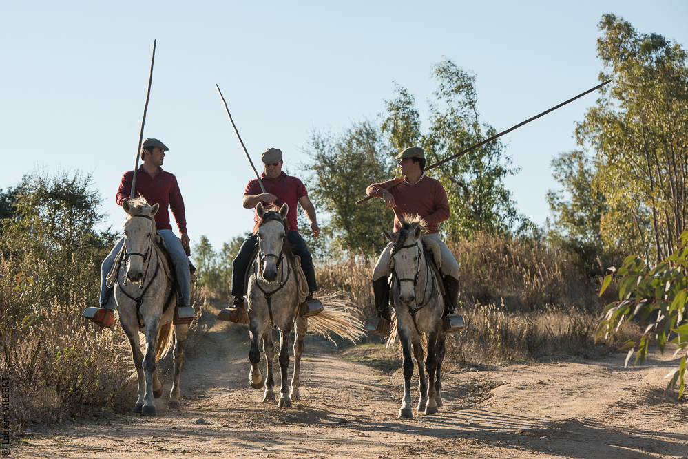 Pedrogao 20171113-0673