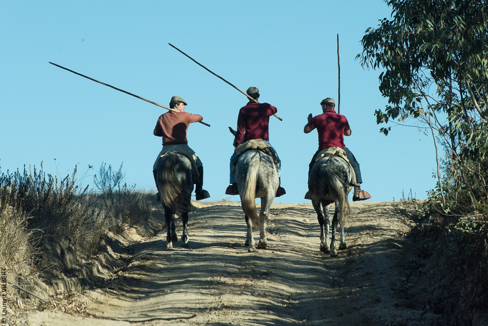 Pedrogao 20171113-0721