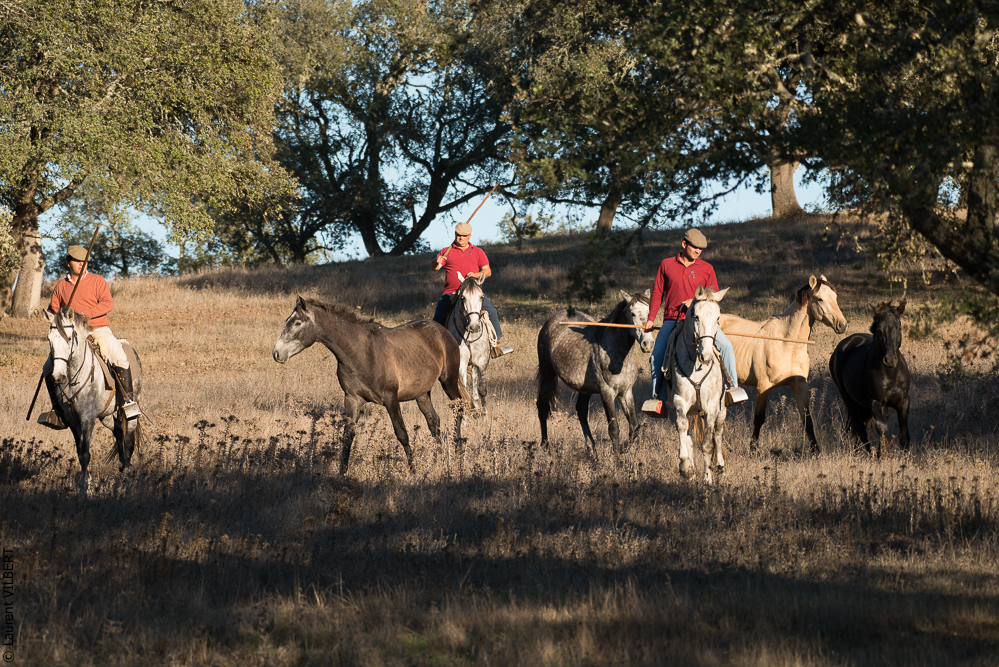 Pedrogao 20171113-0788