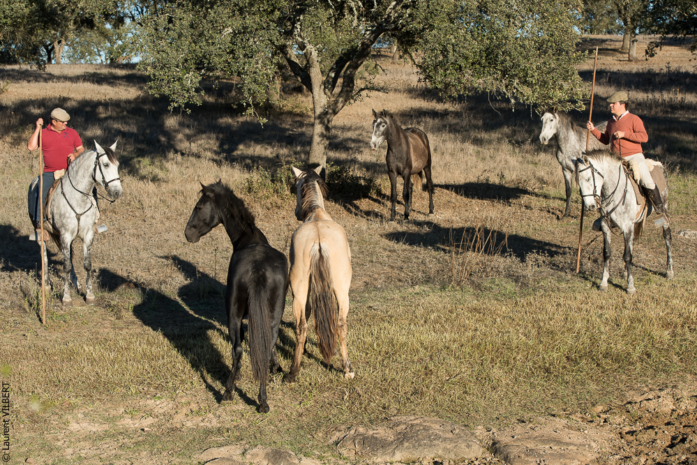 Pedrogao 20171113-0931