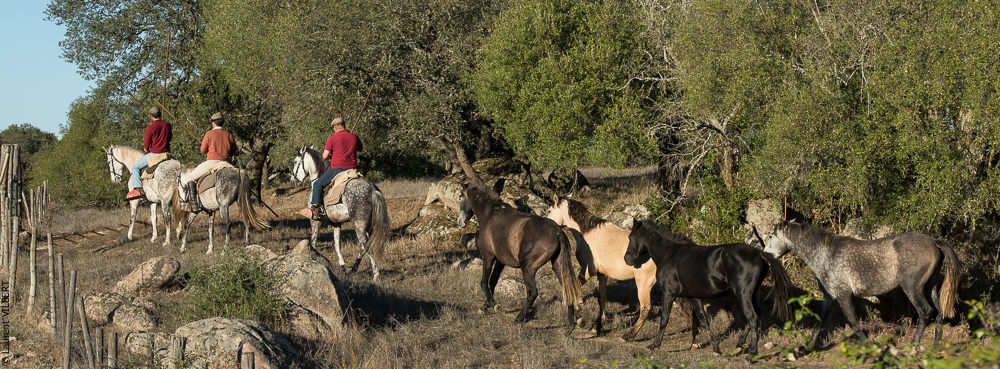 Pedrogao 20171113-0942