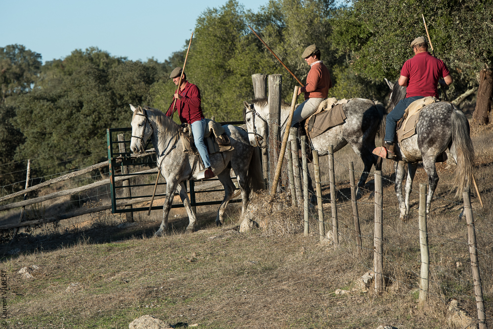 Pedrogao 20171113-0958