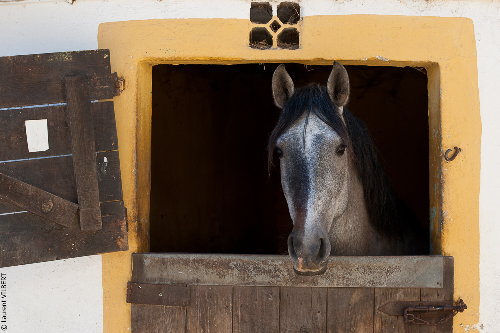 Portugal 20120415-6820