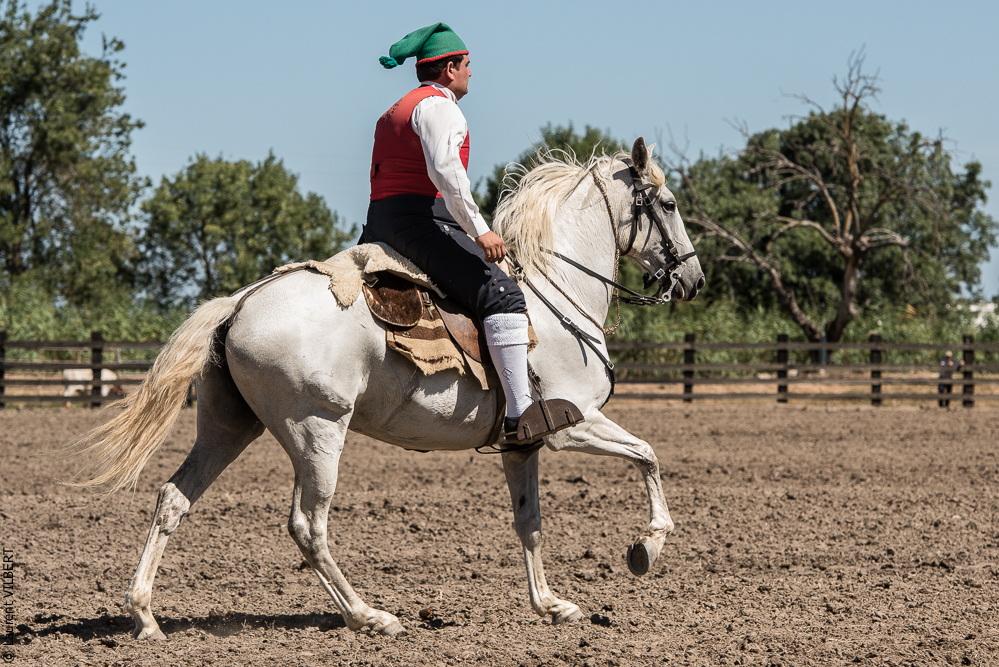 campinos 20160820-1220