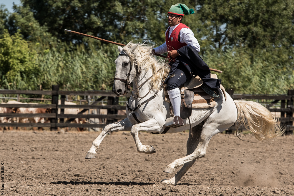 campinos 20160820-1315