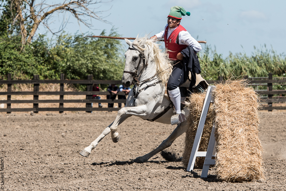 campinos 20160820-1318