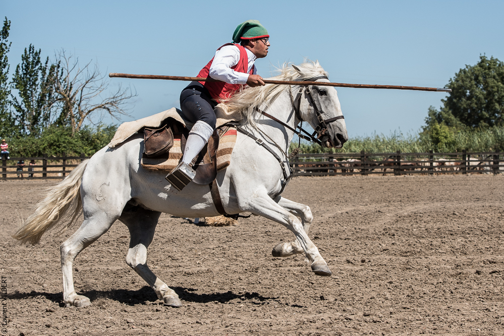 campinos 20160820-1323