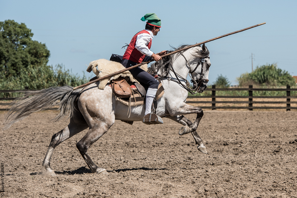 campinos 20160820-1349