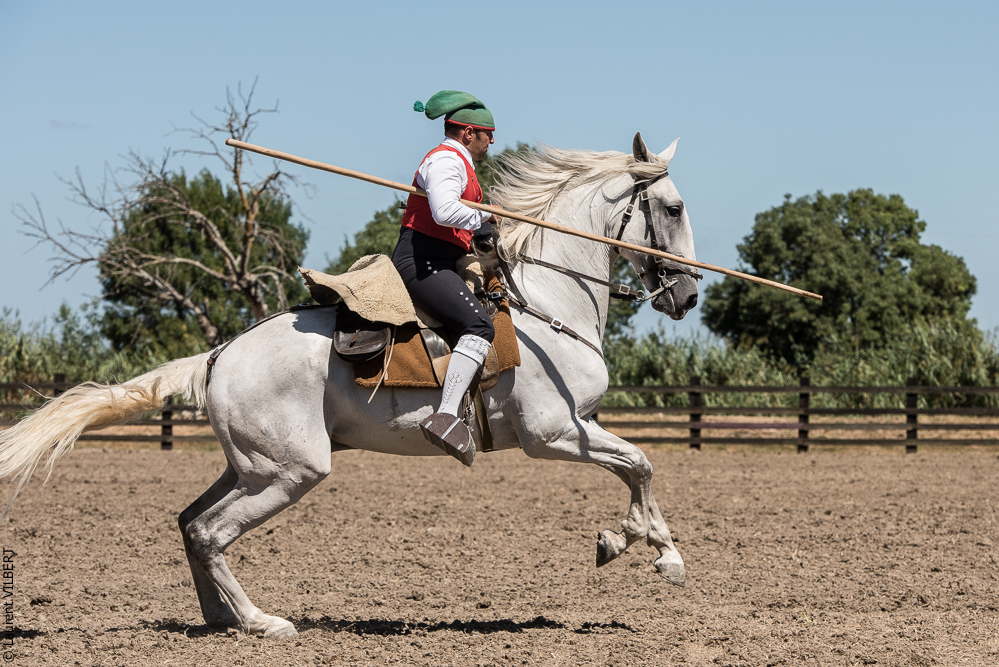 campinos 20160820-1394