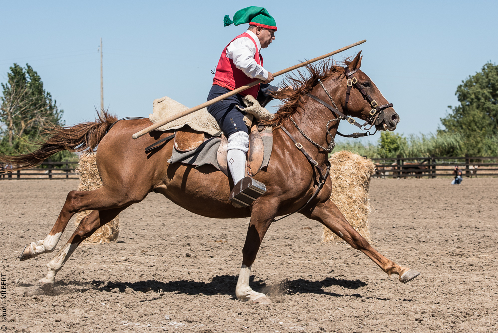 campinos 20160820-1425