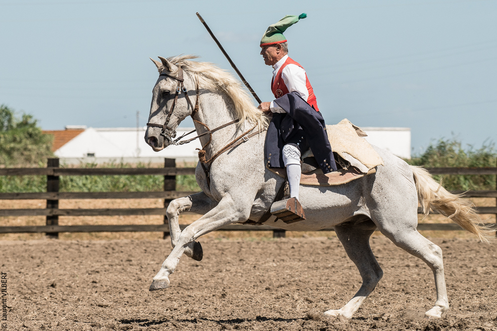 campinos 20160820-1453