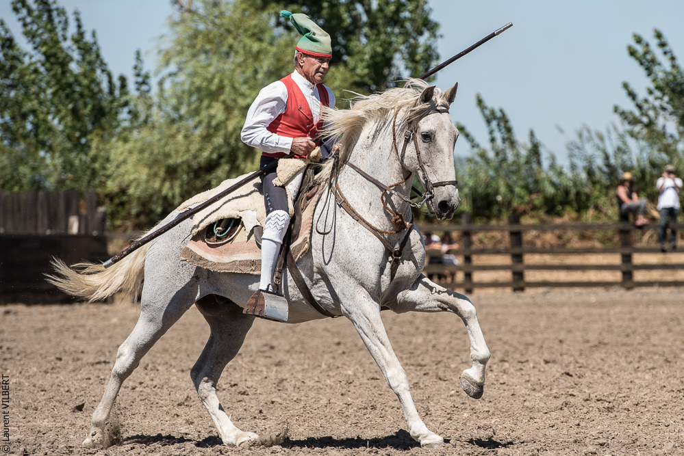 campinos 20160820-1471