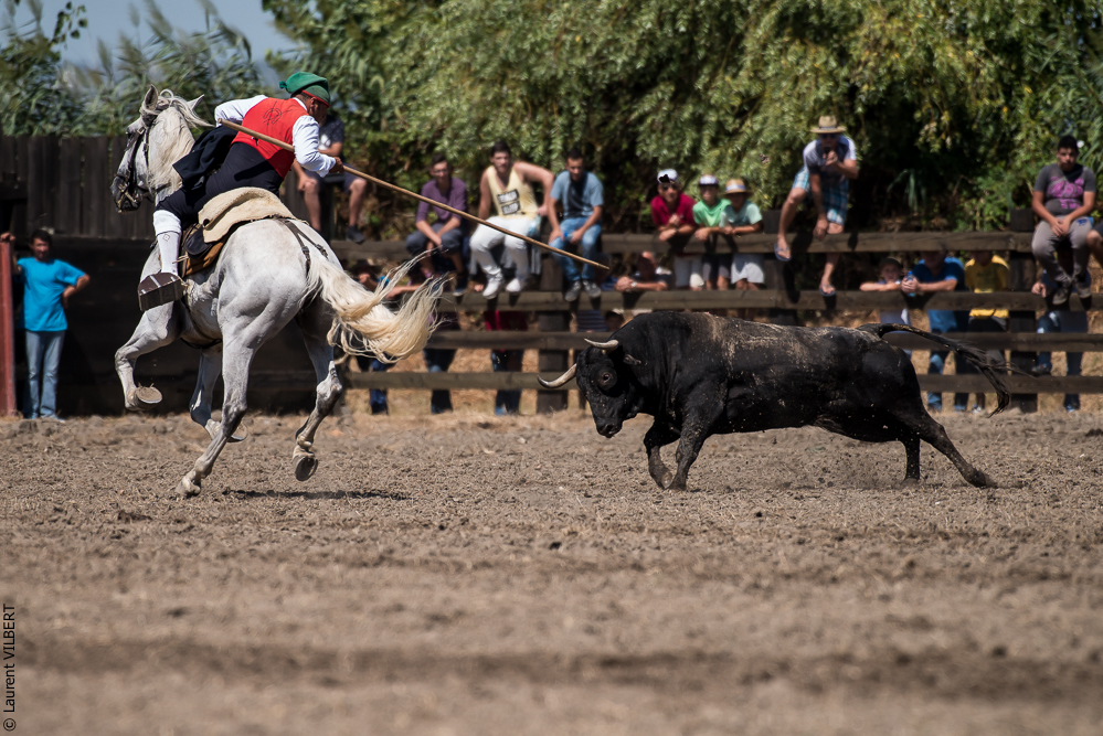 campinos 20160821-2197