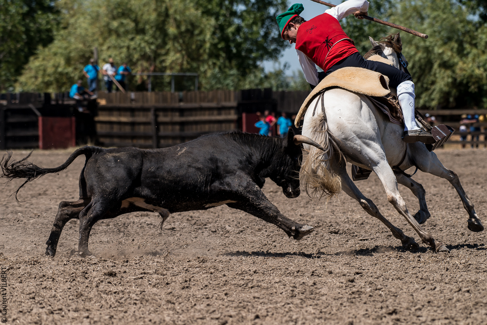 campinos 20160821-2681